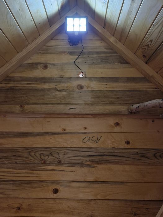 Kurniki, odchowalniki