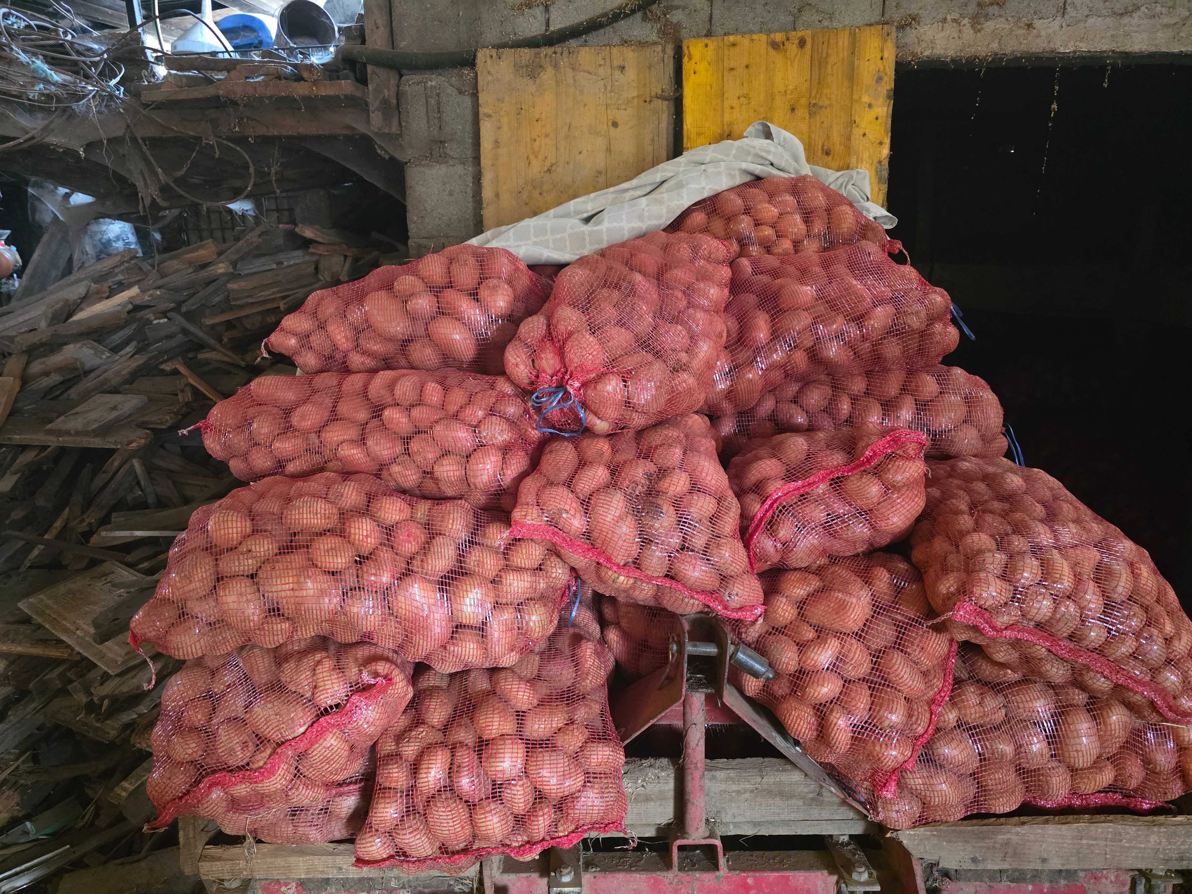 Vendo Batatas a 0,85€ o quilo (Kg) - 17€/20Kg - "A Avó Mimi".