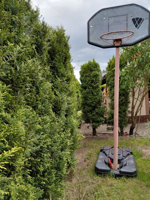 Kosz do koszykowki