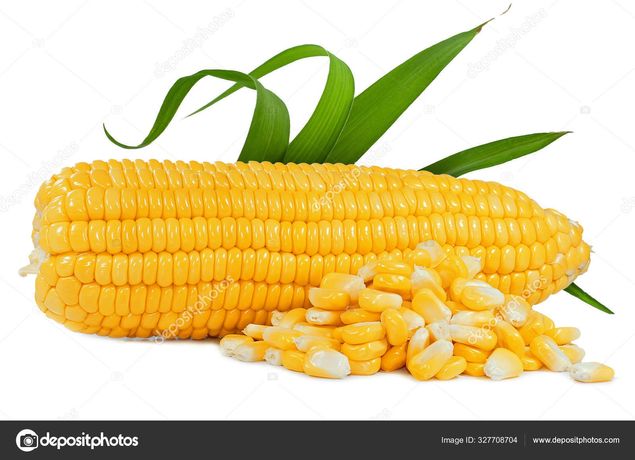 Продаю зерно кукурудзи