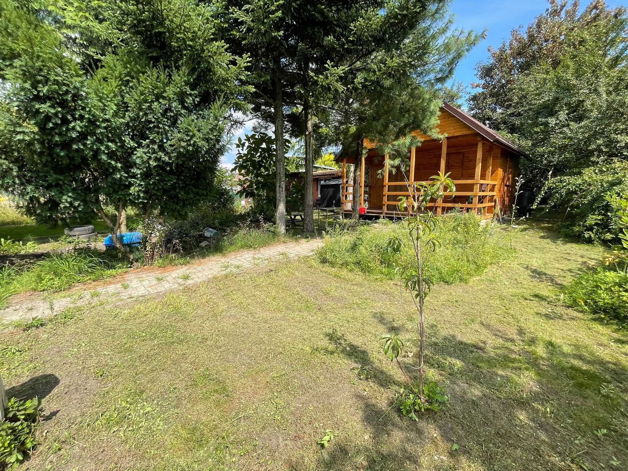 PROMOCJA Działka ROD 344 m2 Stary Widzew Łódź domek całoroczny 25m2