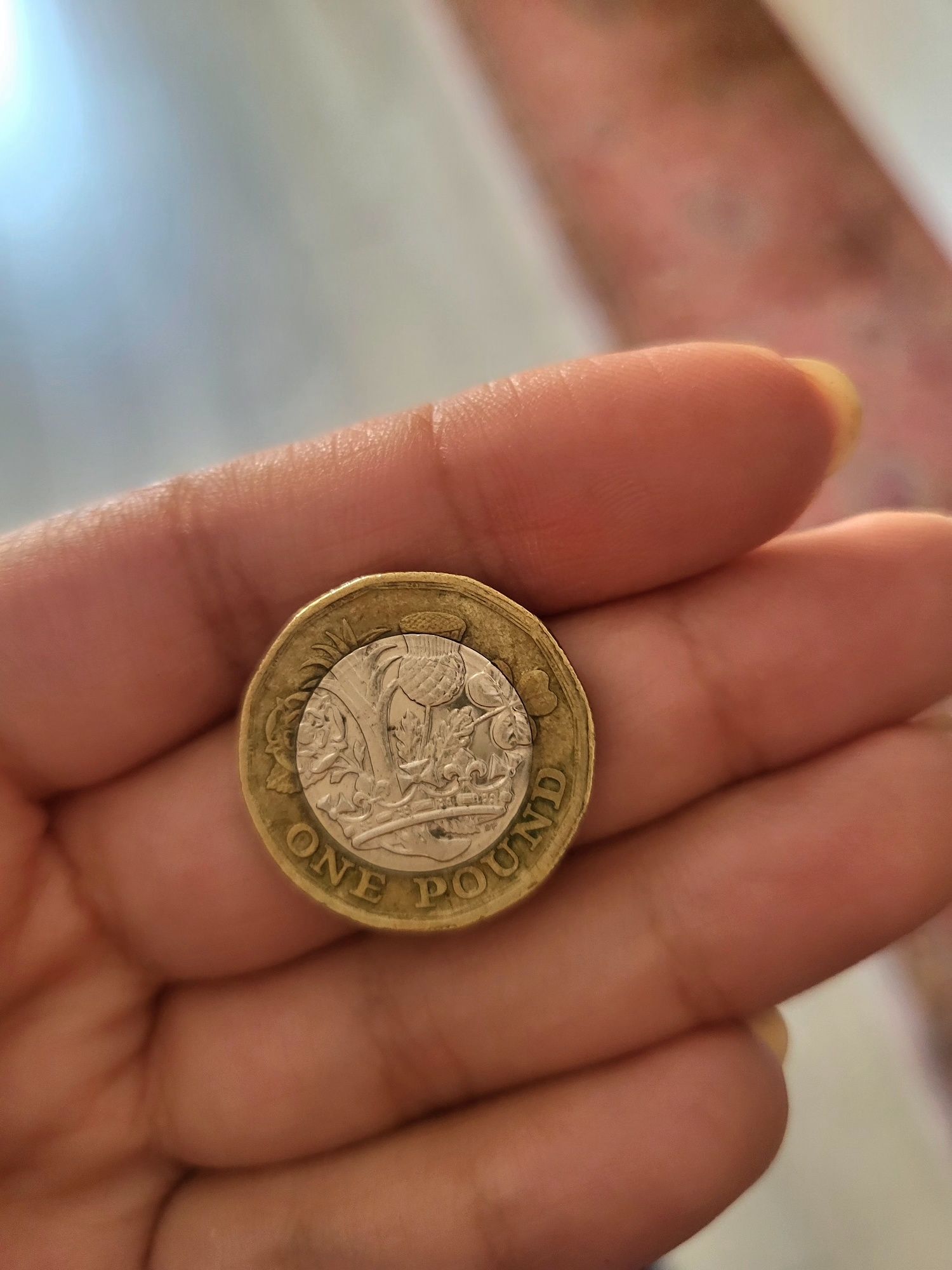 Moeda de 1 libra 2017