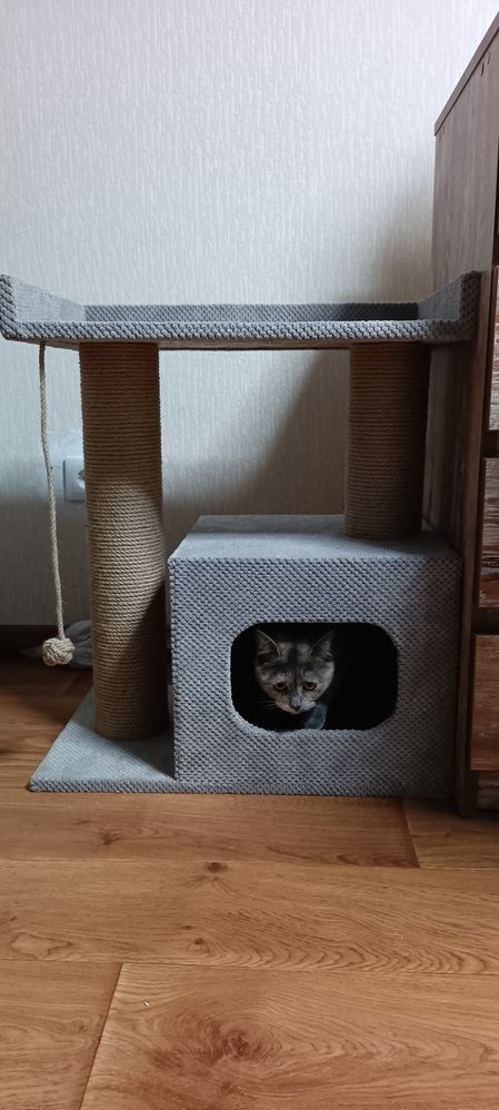Когтеточка с лежанкой для кота