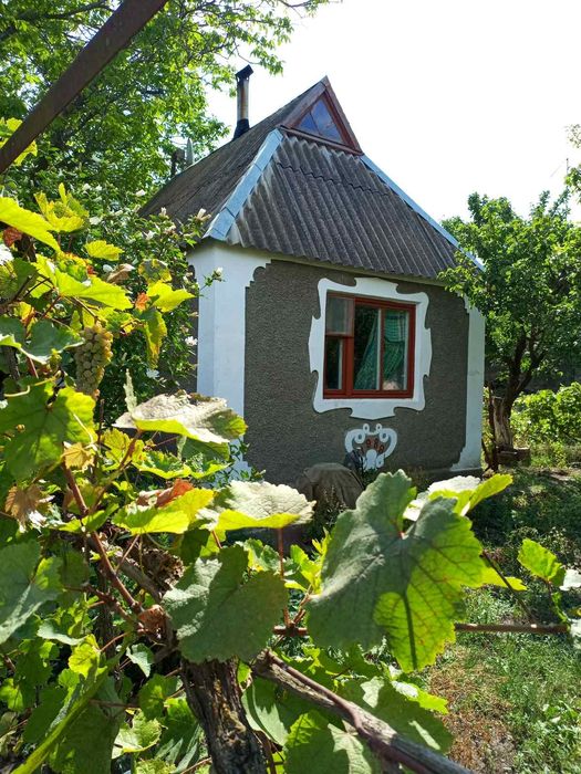 Продаю будинок з городом у с. Степове, Миколаївська обл.