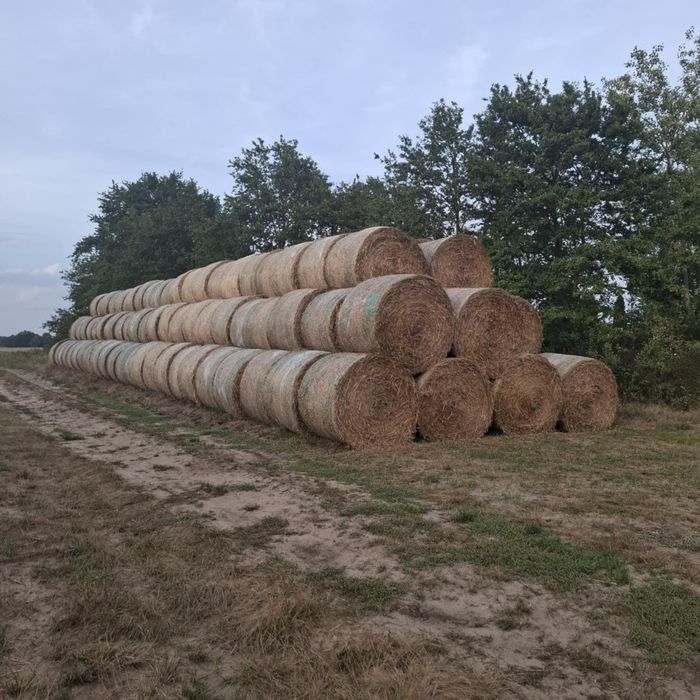 Słoma żytnia i pszenżytnia bele 150