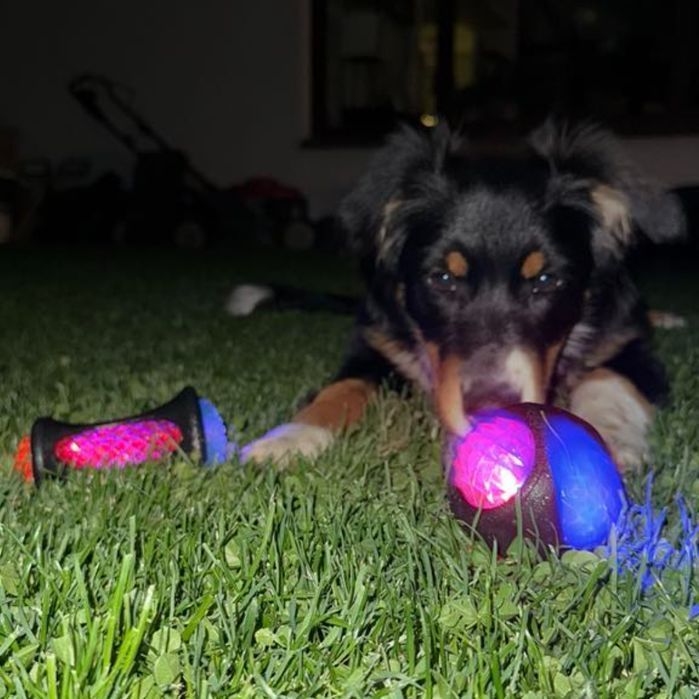 Gryzak piłka dla psa z kolcami zabawka interaktywna do aportowania