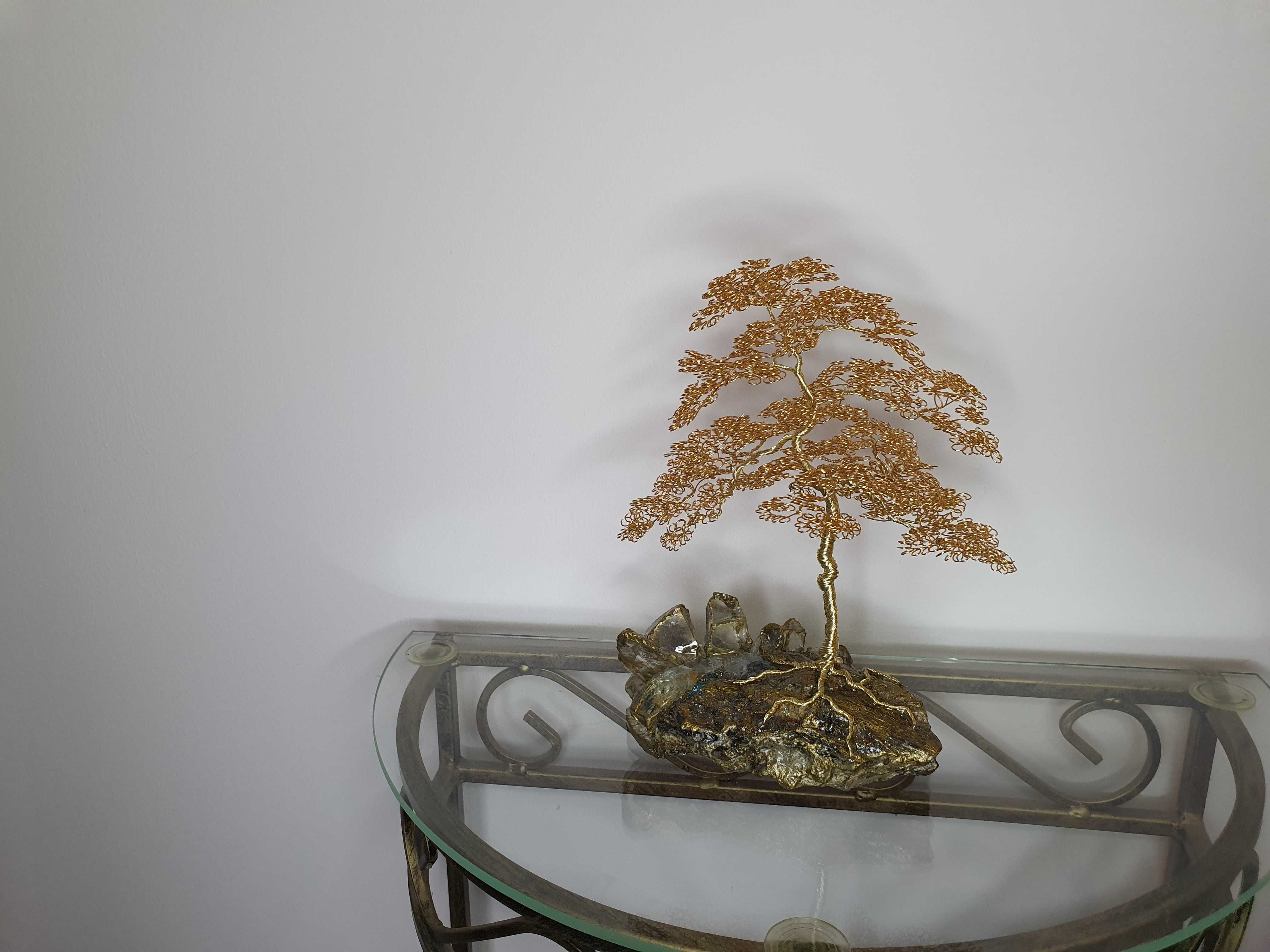 Drzewko szczęścia, bonsai