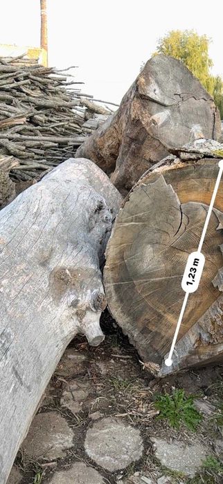 Sprzedam kłody dębu