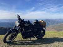 Triumph bonneville T100