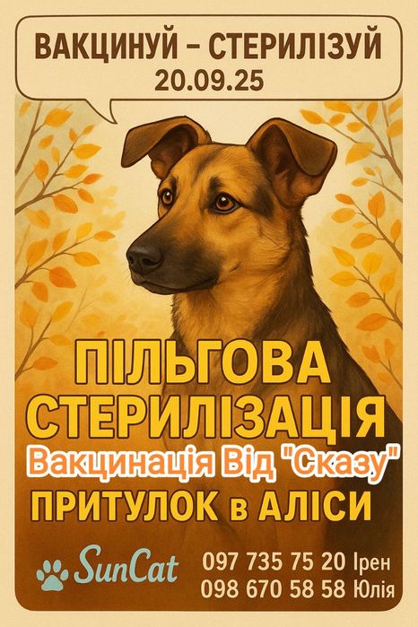 Пільгова Стерилізація, та вакцинація проти "Сказу"