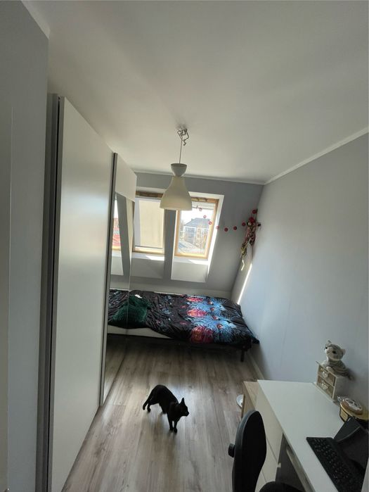 3-pokojowe mieszkanie 50m2, Brochów - Krzyki, Wrocław