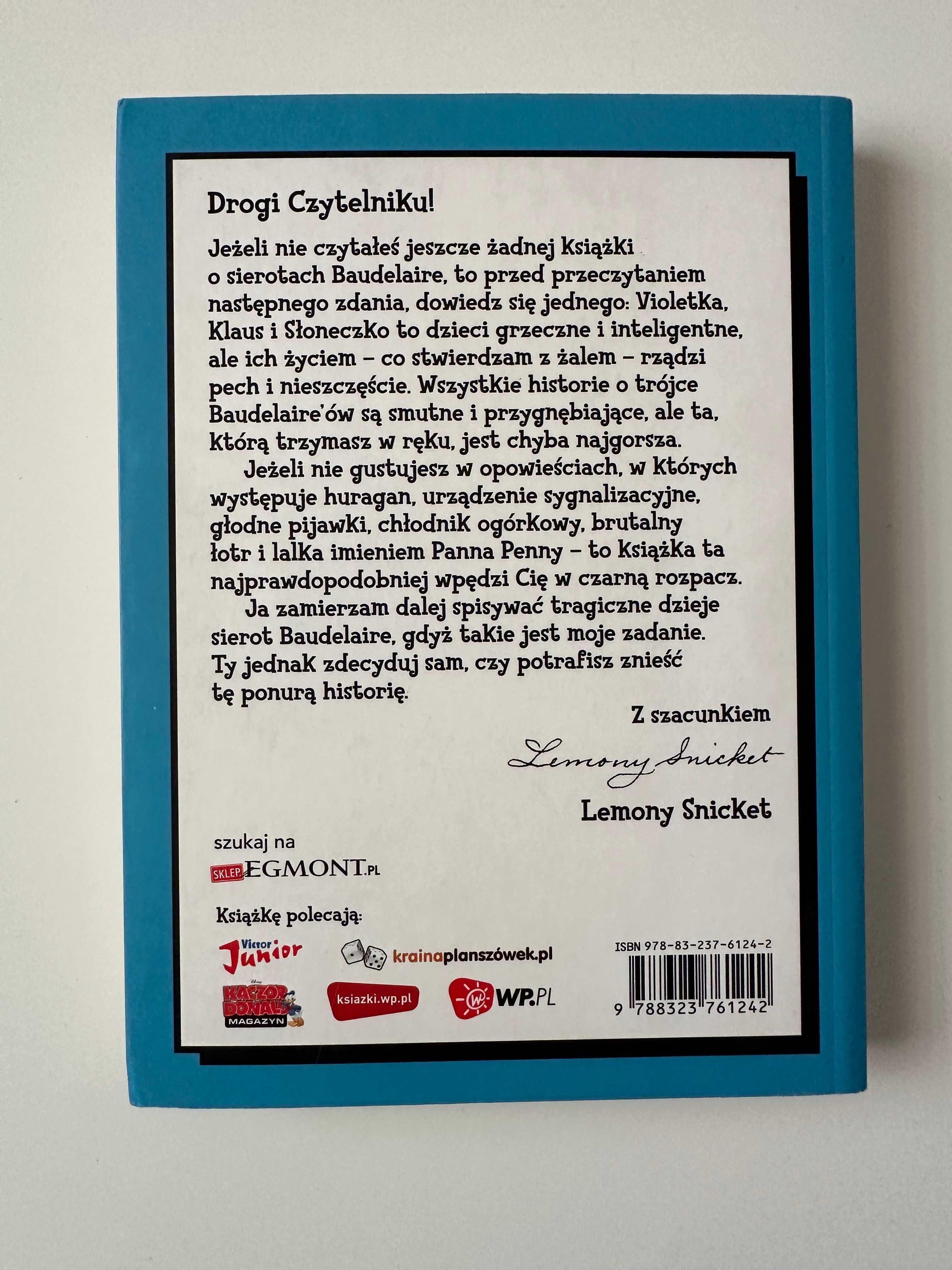 Ogromne okno - Lemony Snicket - książka