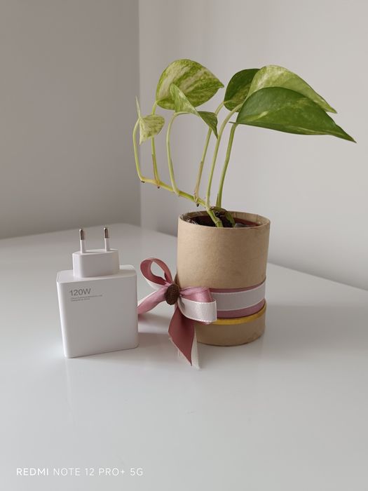 Carregador novo - 120 W