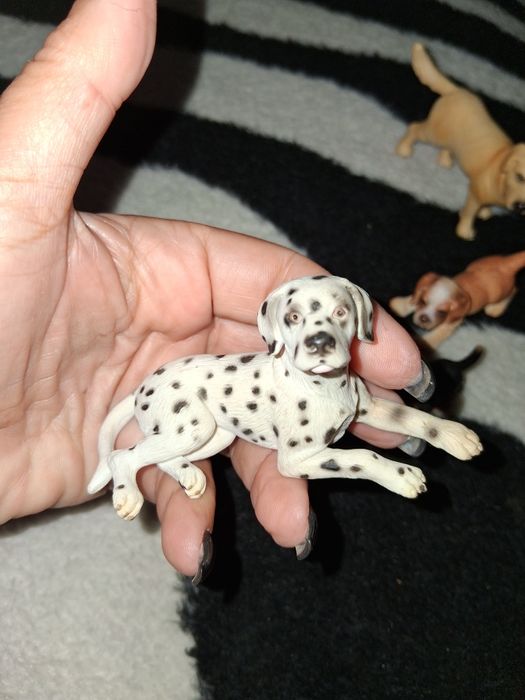 Coleção cães (12)
