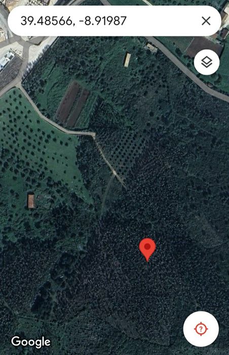 Casal da Charneca 6300m2 terreno plantação de eucaliptos