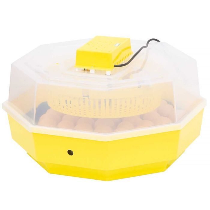 Inkubator do wylęgu jaj iBator Home 60