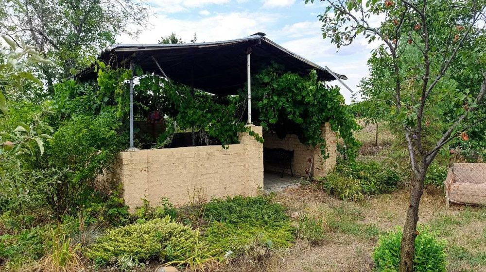 Продам дом в Подгородном с отличным участком