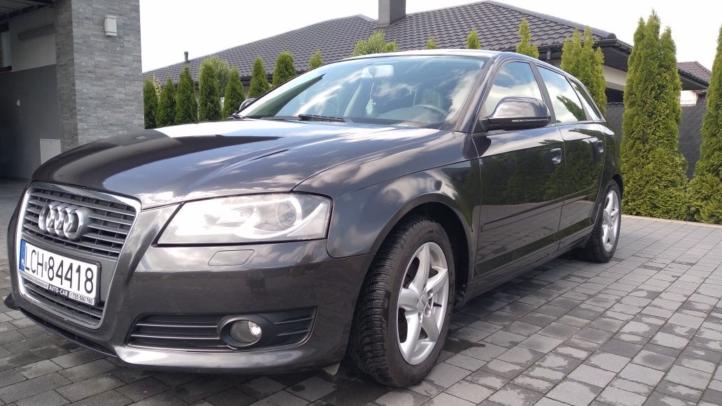Audi A3 8P 1.9 TDI 2009 stan bdb