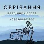 Обрізаня,спил,обрізка,валка аварійних дерев, дерево,альпініст, висотні