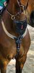 Napiersnik Equipe