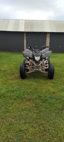 Quadzilla 320 CVT