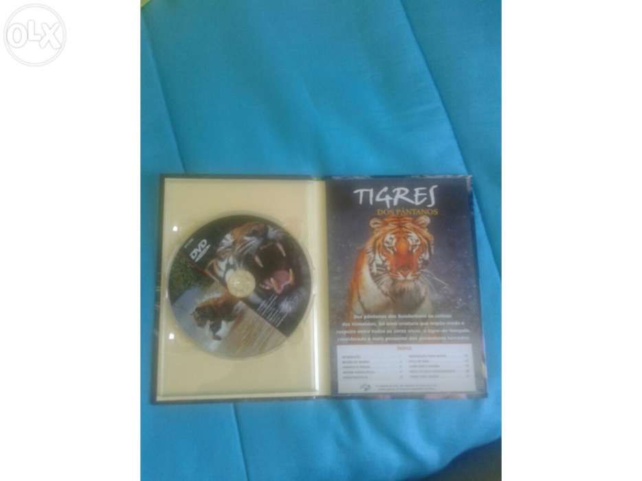 DVD Documentário Tigres dos Pântanos