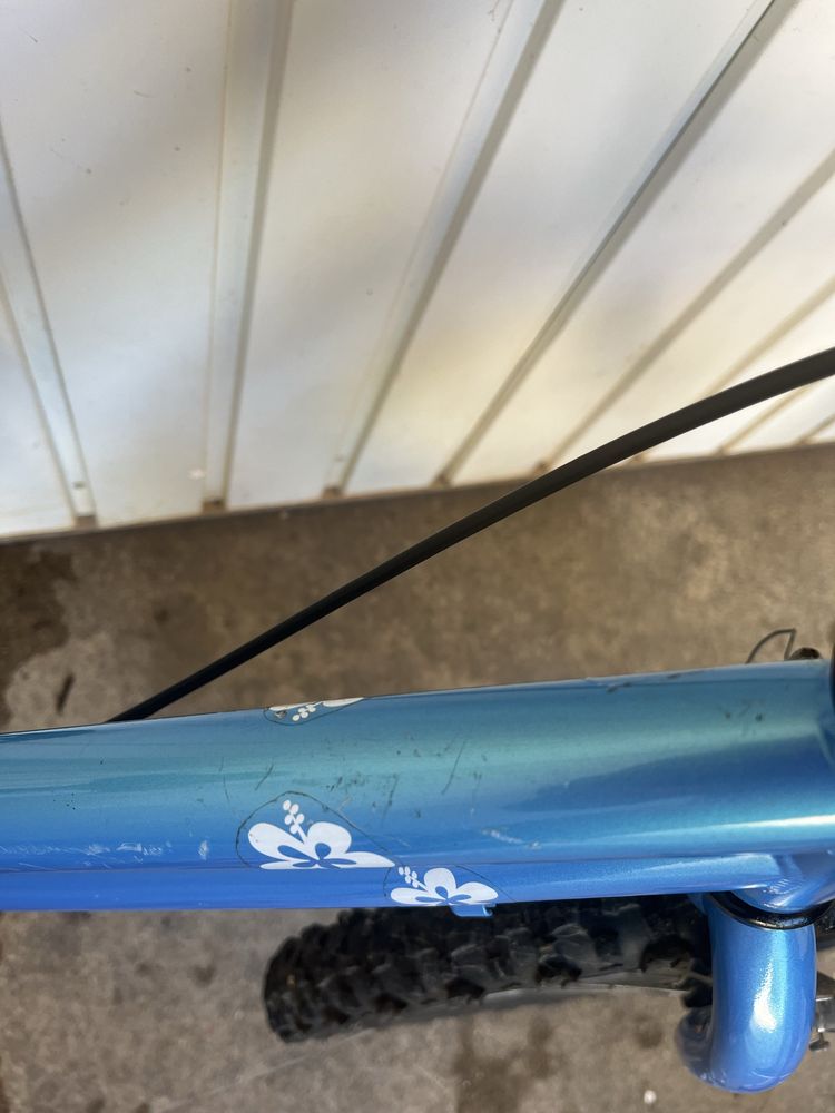 Bicicleta de criança