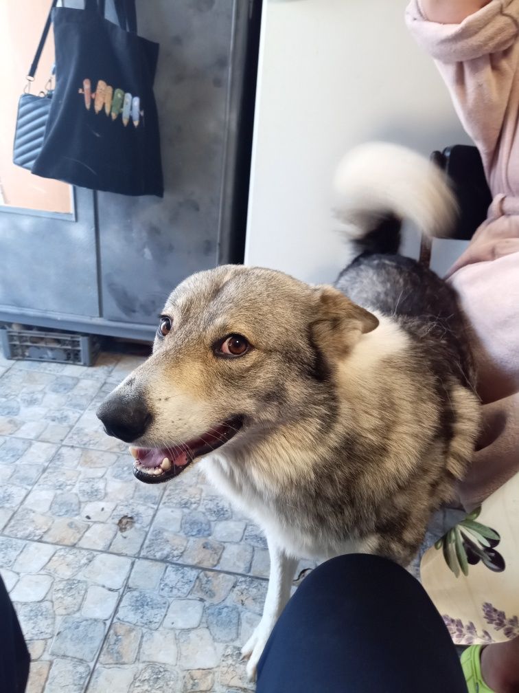 Шукаю дівчину для хлопчика