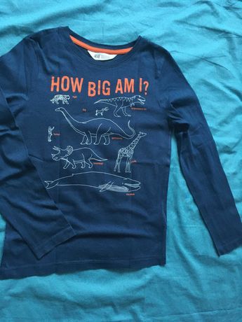 Chłopiec ubranka 134/140 zestaw bluzy bluzki plus bluza h&m gratis!