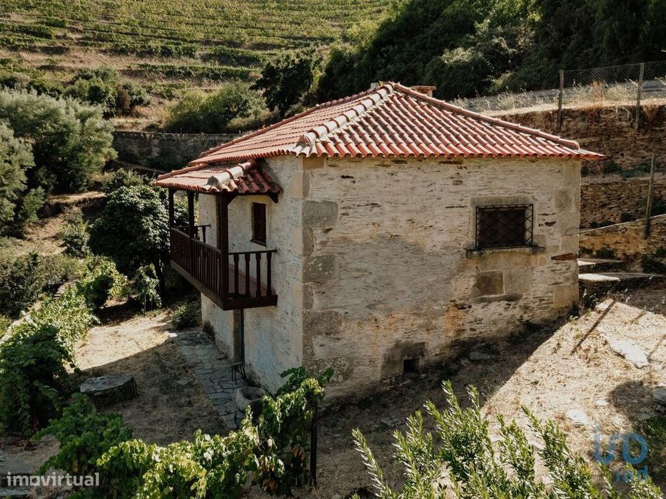 Quinta T1 em Tabuaço de 108,00 m2