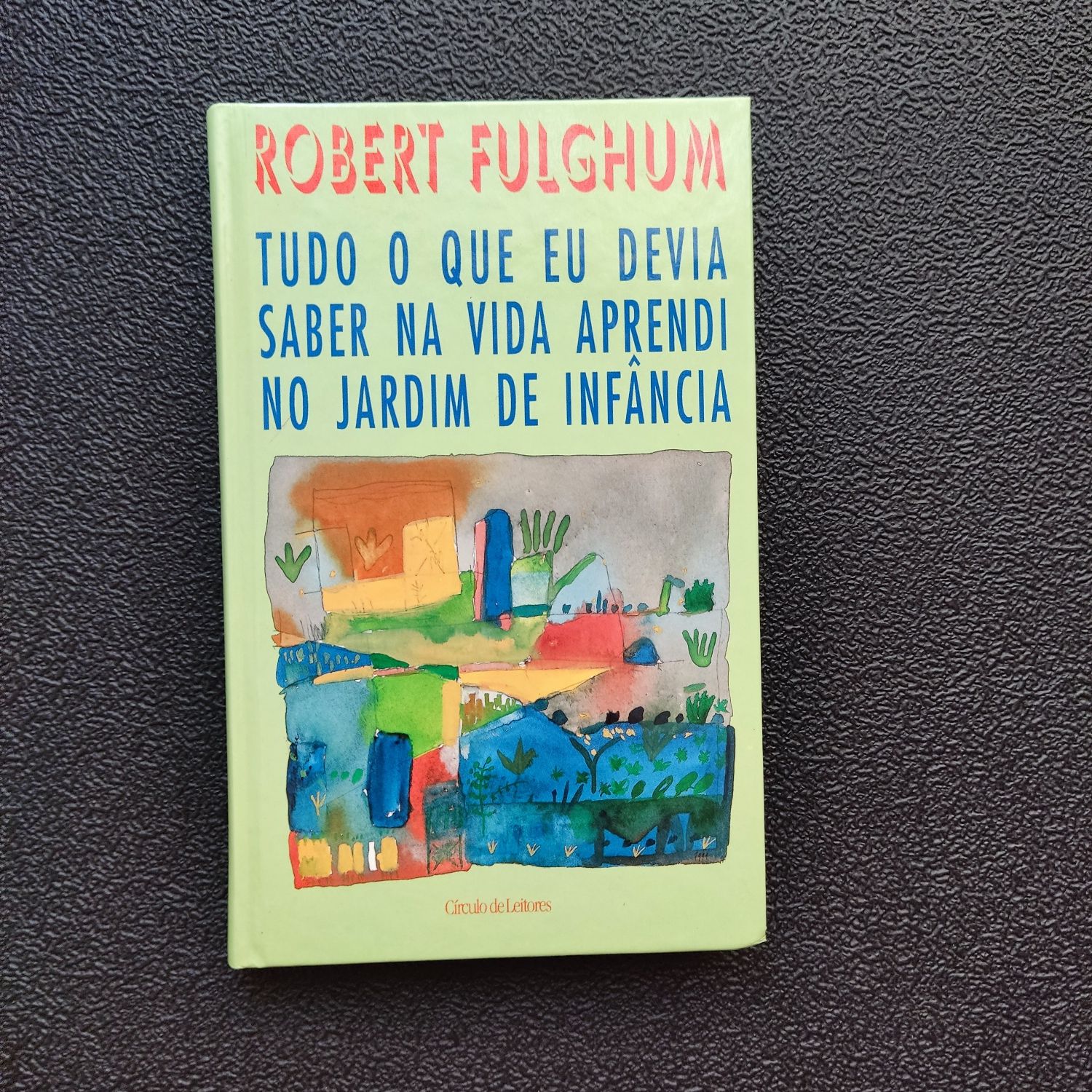 Livro tudo que devia saber na vida aprendi no jardim de infância