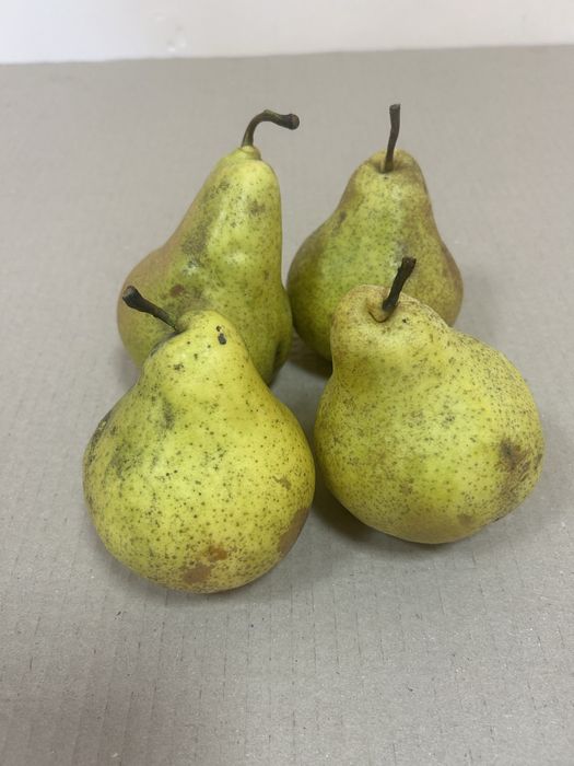 Еко груші для дітей.Груша ноябирська.грушка.