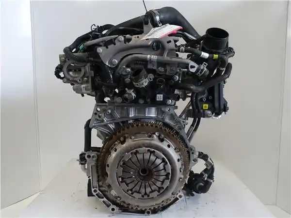 Motor DACIA DUSTER II 1.0 101 CV    H4DD460 H4D460