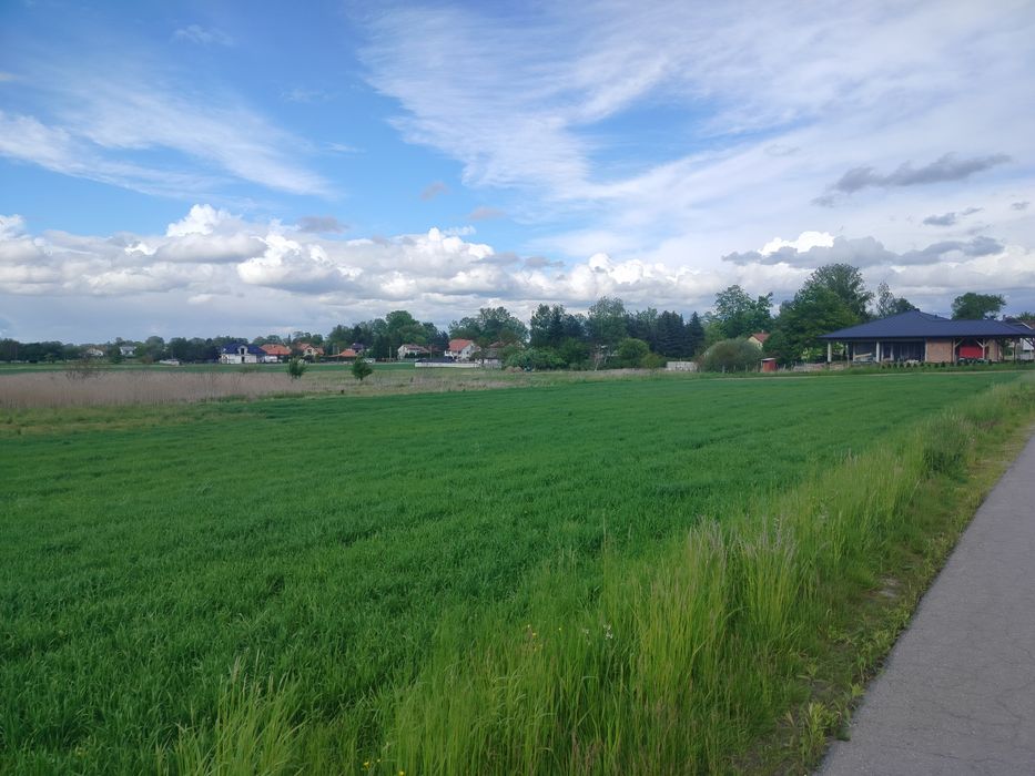 Działka 30 ar w Głuchowie koło Łańcuta