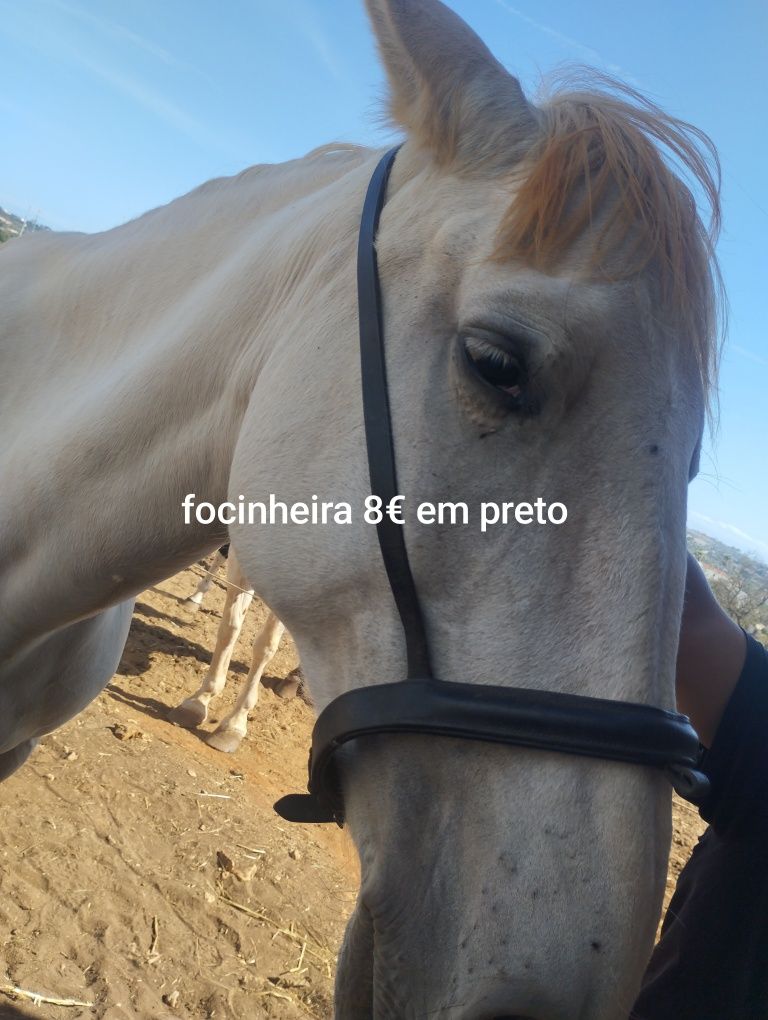 Vende se vários artigos de equitação