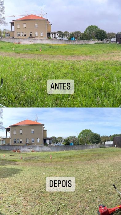 Limpeza de terrenos e manutenção de jardins