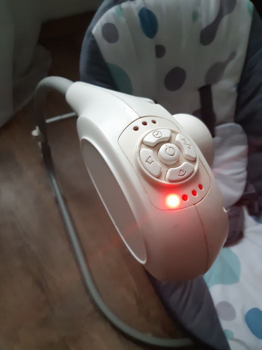 Bujak elektroniczny