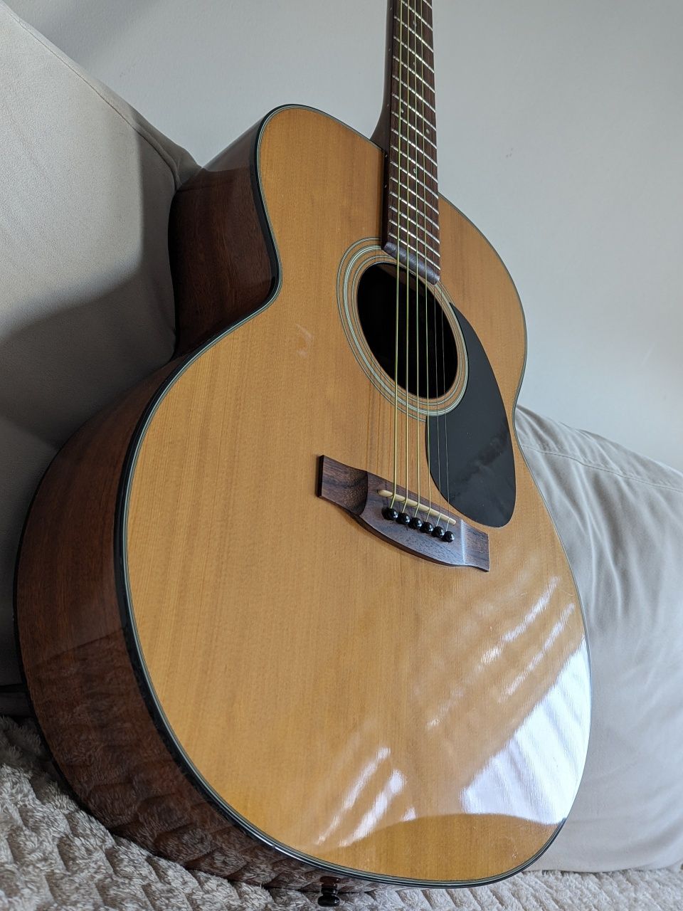 Gitara akustyczna Takamine G220