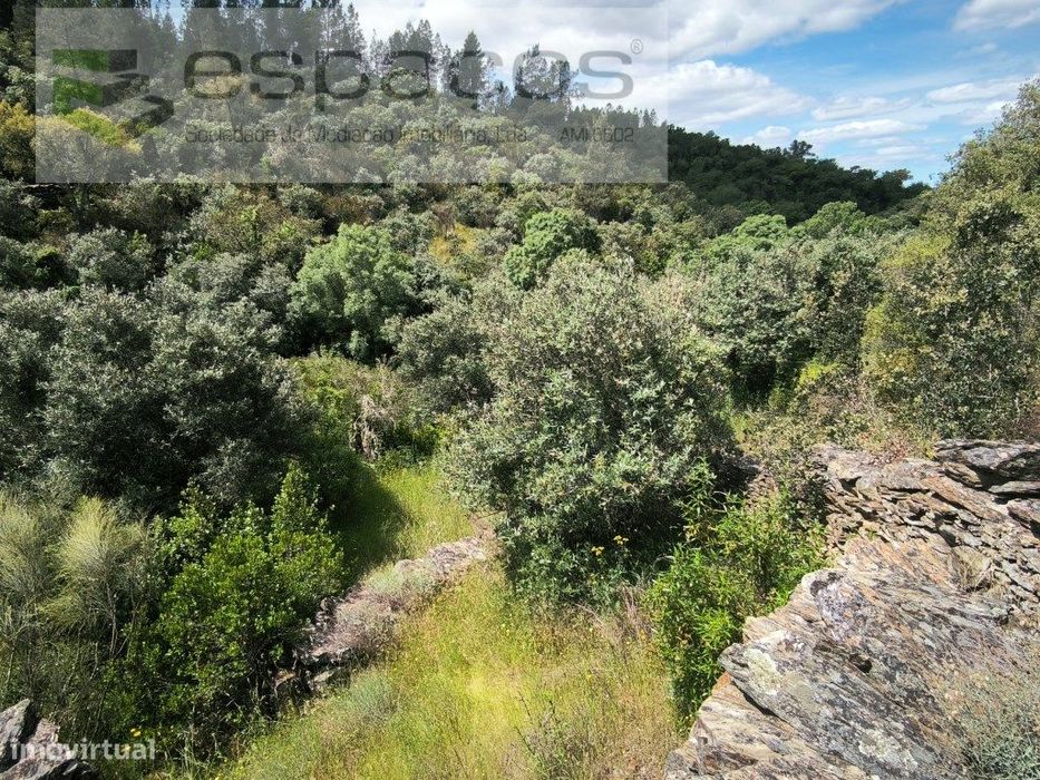 Terreno a confinar com ribeiro - Lentiscais