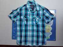 Camisa Manga Curta da marca Palomino