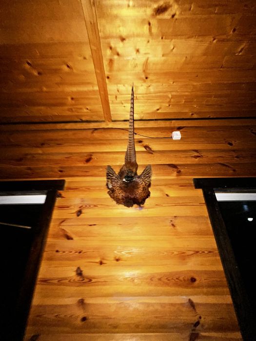 Кафе, бар, ресторан,