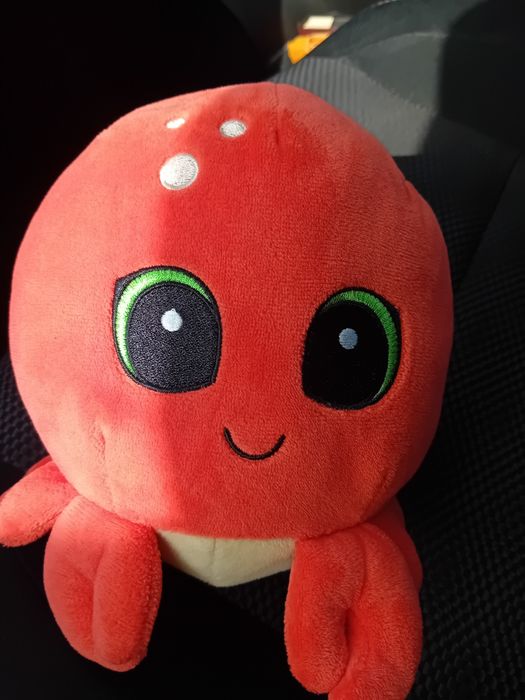 Peluches das coleções do Pingo Doce