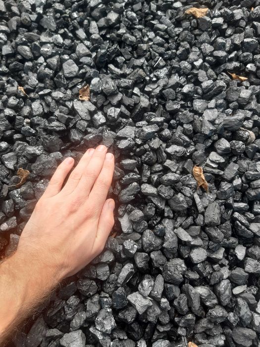 Eko groszek groszek suchy workowany z dostawą