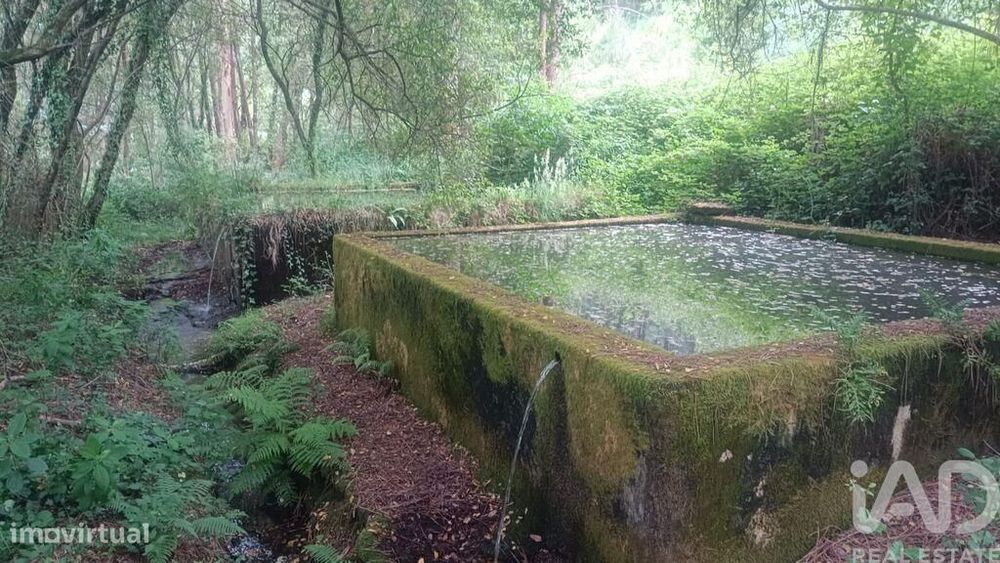 Terreno Agrícola em São Julião e Silva de 27590,00 m2