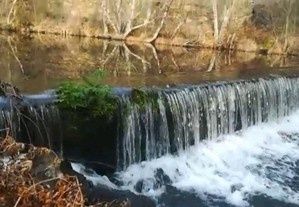 Terreno Douro troco por carro