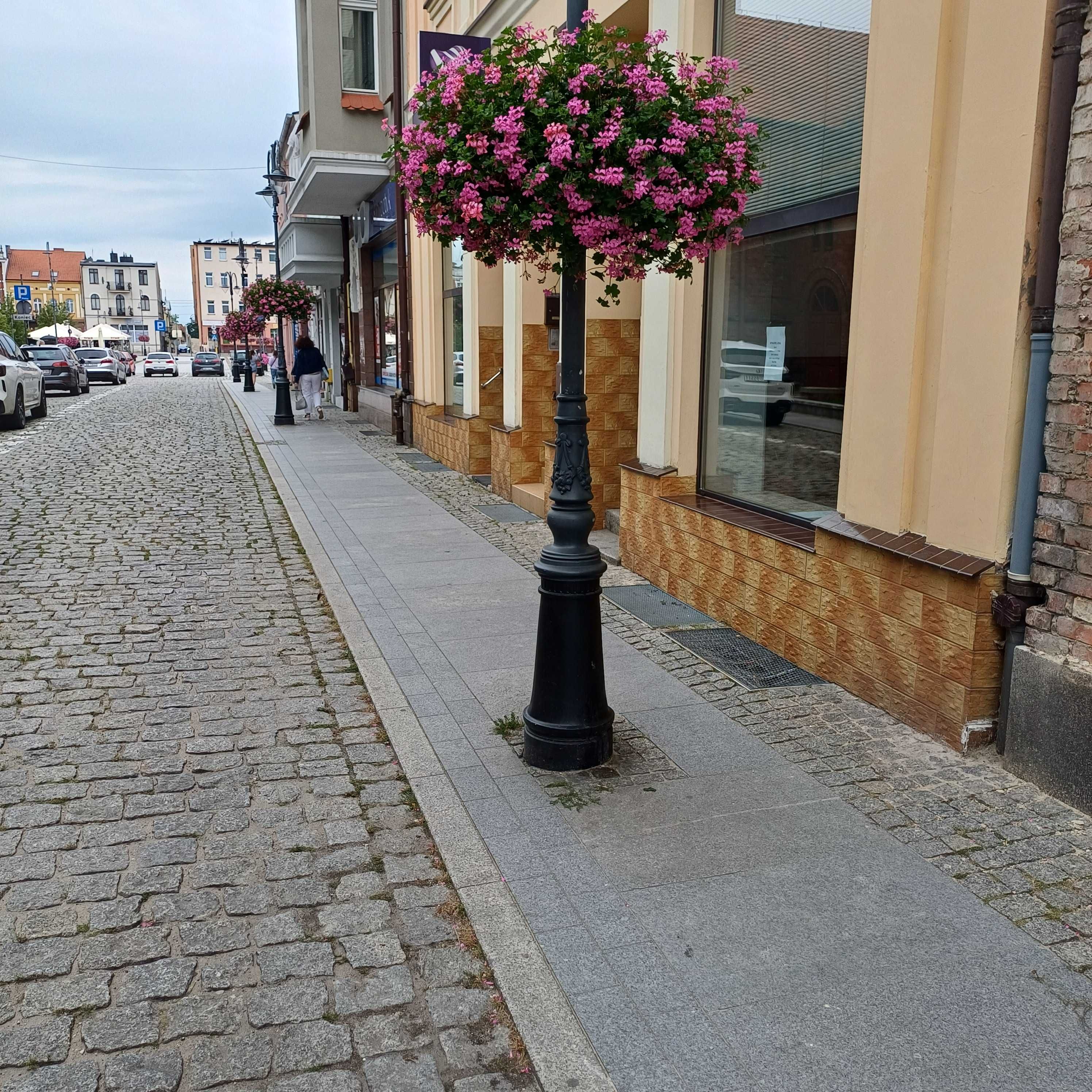 Lokal do wynajęcia