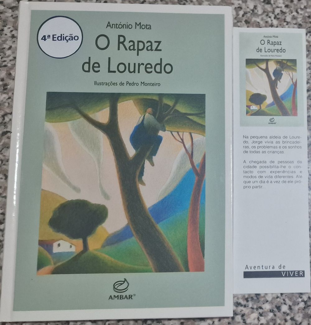 O Rapaz de Louredo, livro