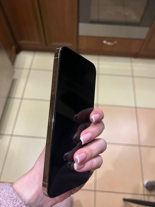 iPhone 13 Pro max 256gb