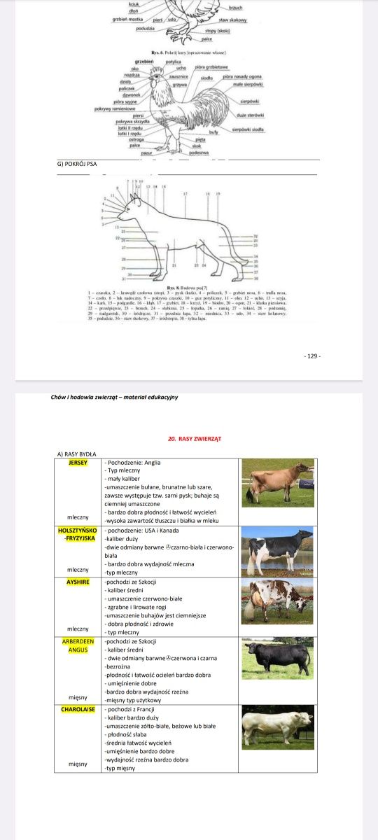TECHNIK WETERYNARII - DIAGNOSTYKA laboratoryjna, notatki anatomia