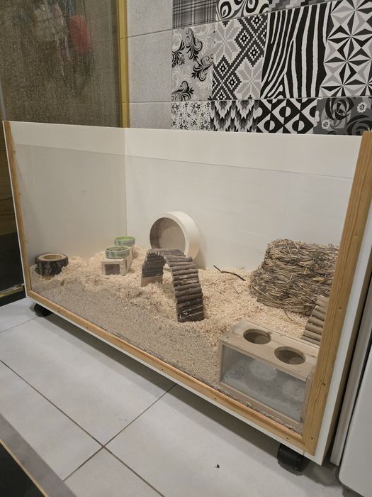 Klatka, Terrarium- chomik, świnka